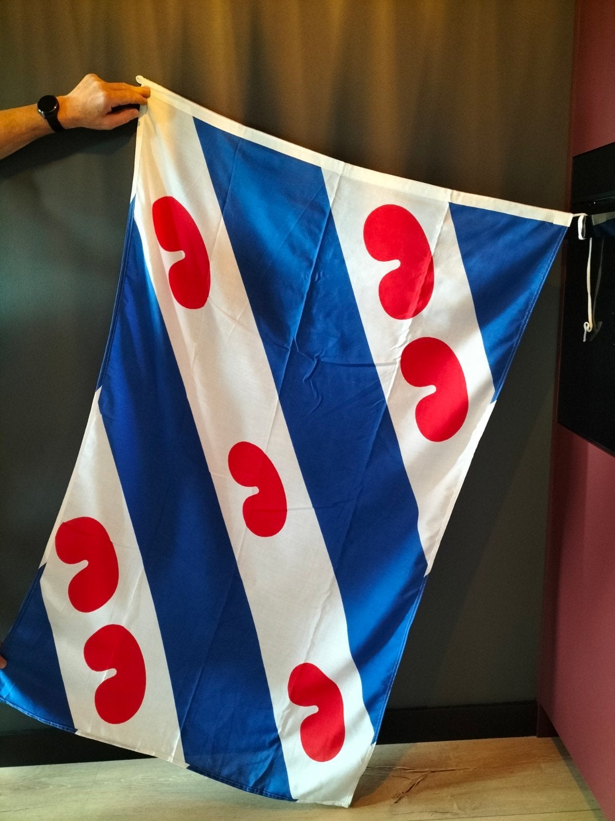 Friese vlag NIEUW, Ophalen of Verzenden, Nieuw
