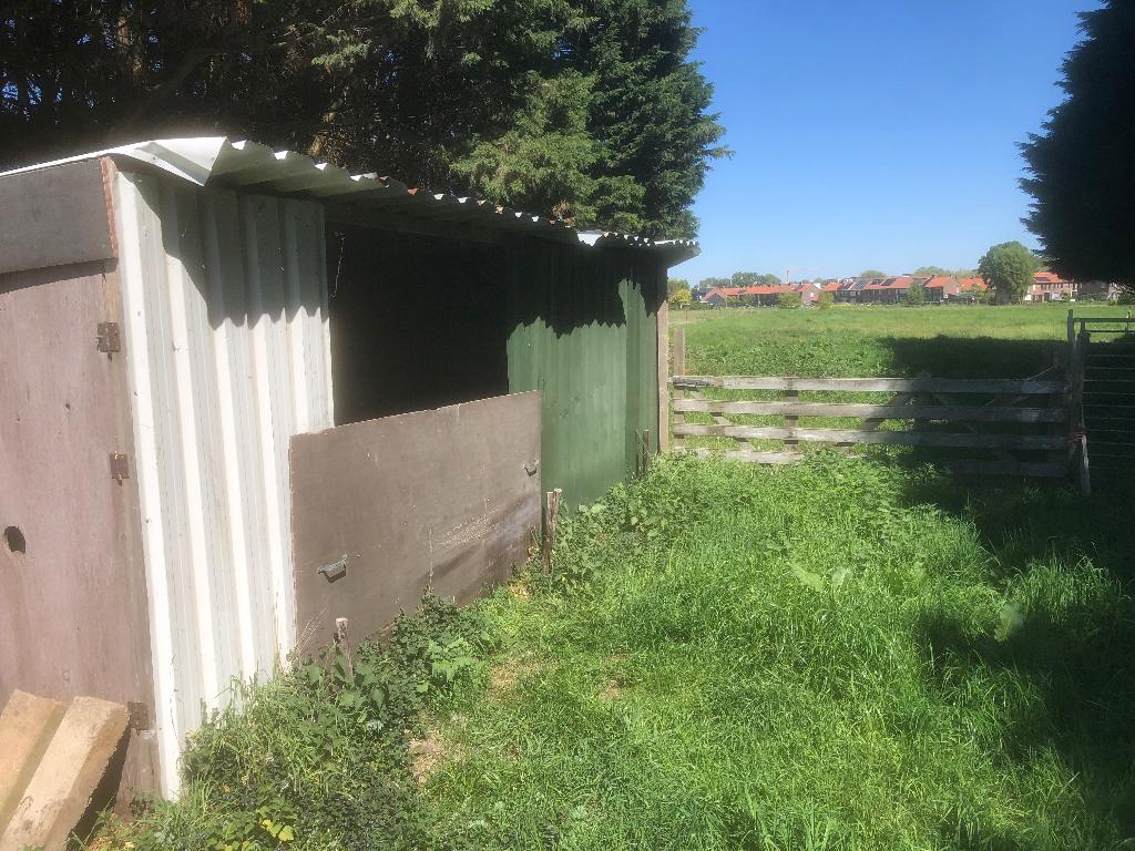 Weide, Dieren en Toebehoren, Stalling en Weidegang, Weidegang