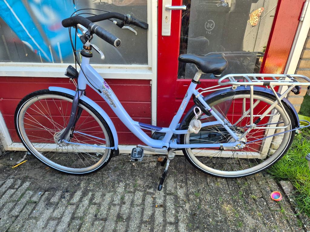 Montego moederfiets paars, Zo goed als nieuw, Versnellingen, 0 zitjes, Ophalen