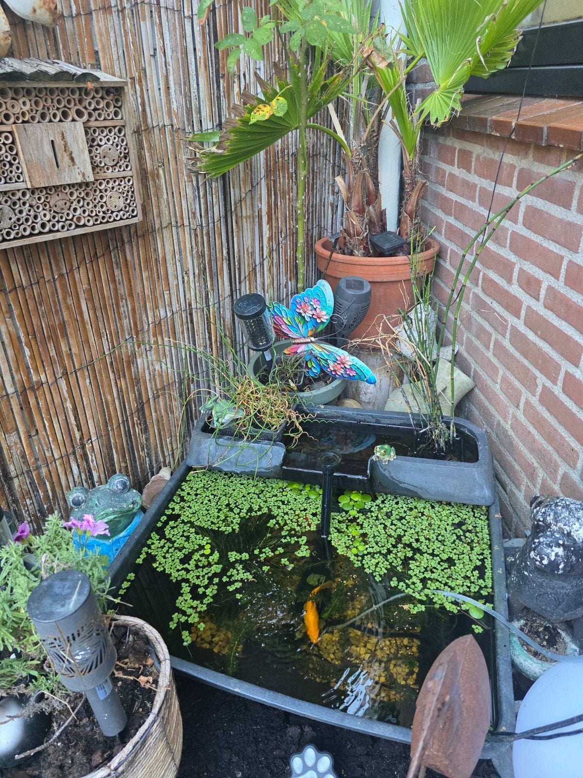 velda terras vijver incl waterval, Ophalen, Waterval