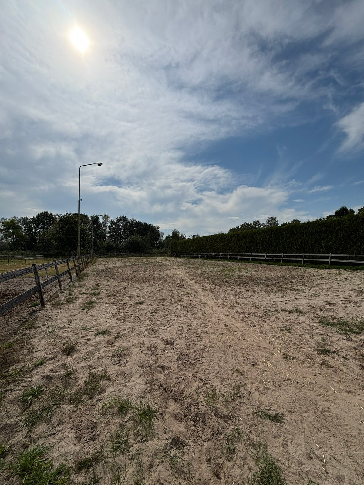 5 stallen te huur, Stalling, 4 paarden of pony's of meer