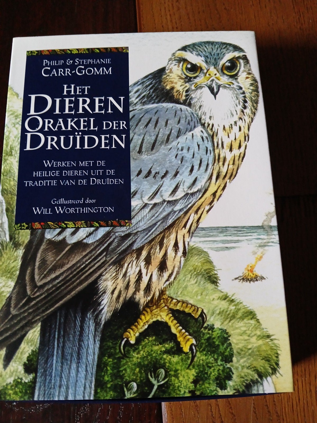 Philip Carr-Gomm - Het dierenorakel der druiden, Boeken, Tarot of Kaarten leggen, Overige typen, Ophalen of Verzenden, Philip Carr-Gomm; Stephane Carr-Gomm