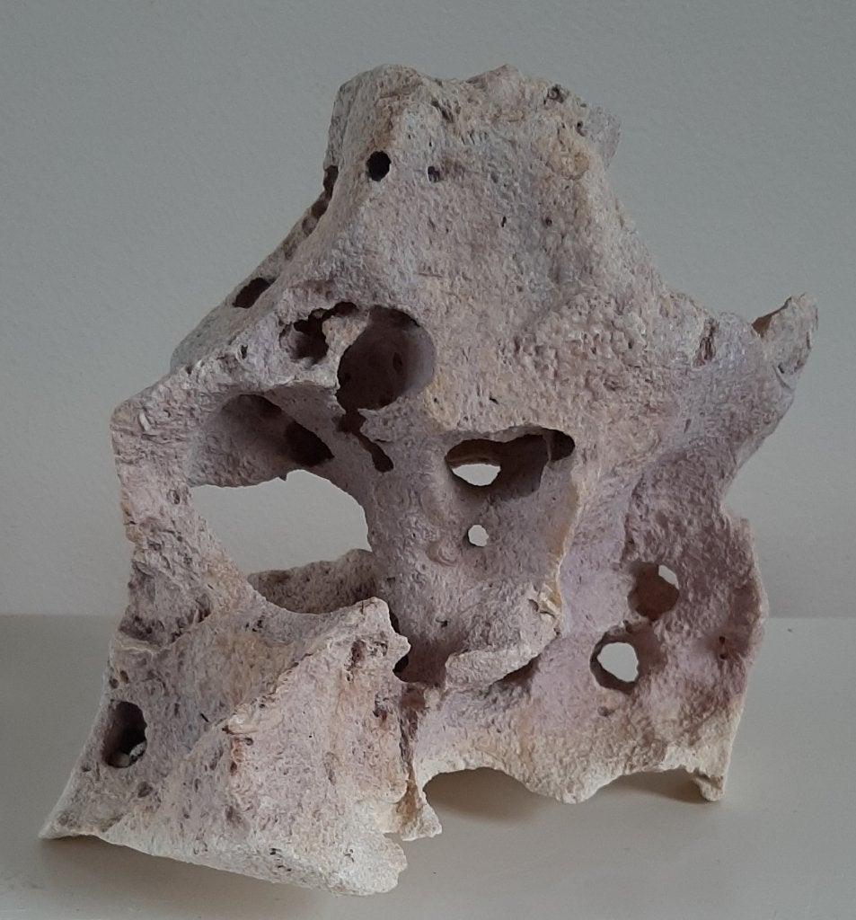 steen voor in het aquarium maansteen, Ophalen of Verzenden, Gebruikt, Decoratie