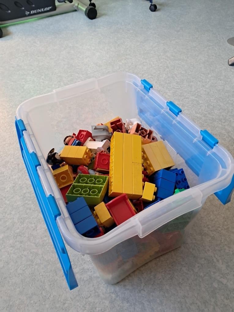 Duplo, Kinderen en Baby's, Speelgoed | Duplo en Lego, Ophalen of Verzenden, Gebruikt, Losse stenen, Duplo