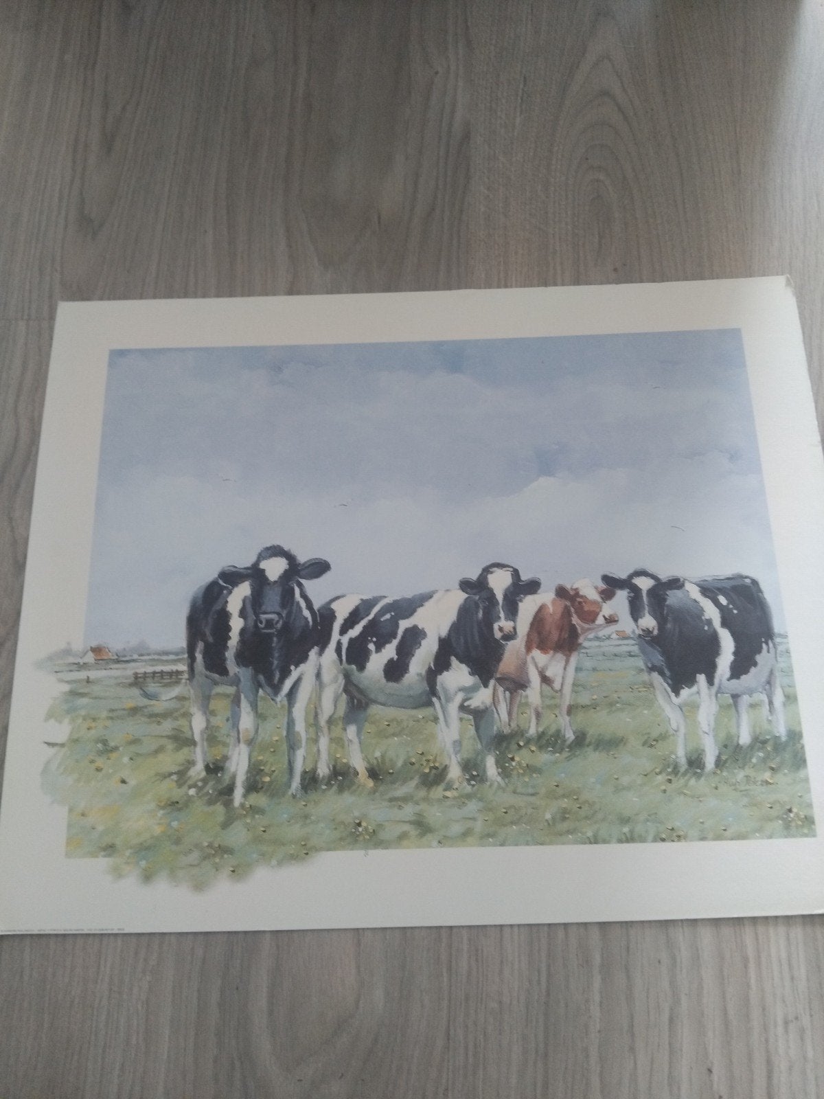 Print van koeien in de wei - gesigneerd door Hub Pelzer, Ophalen of Verzenden, Print, Print/reproductie, Gesigneerd