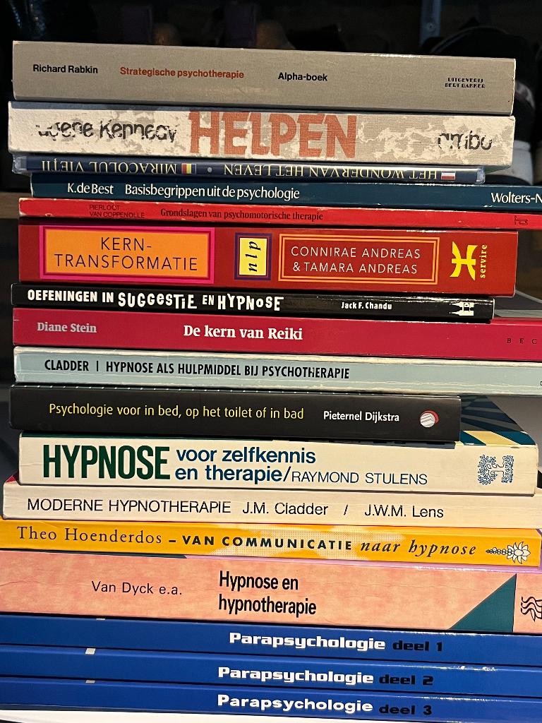 Hypnotherapie, Boeken, Ophalen of Verzenden, Gelezen, Persoonlijkheidsleer