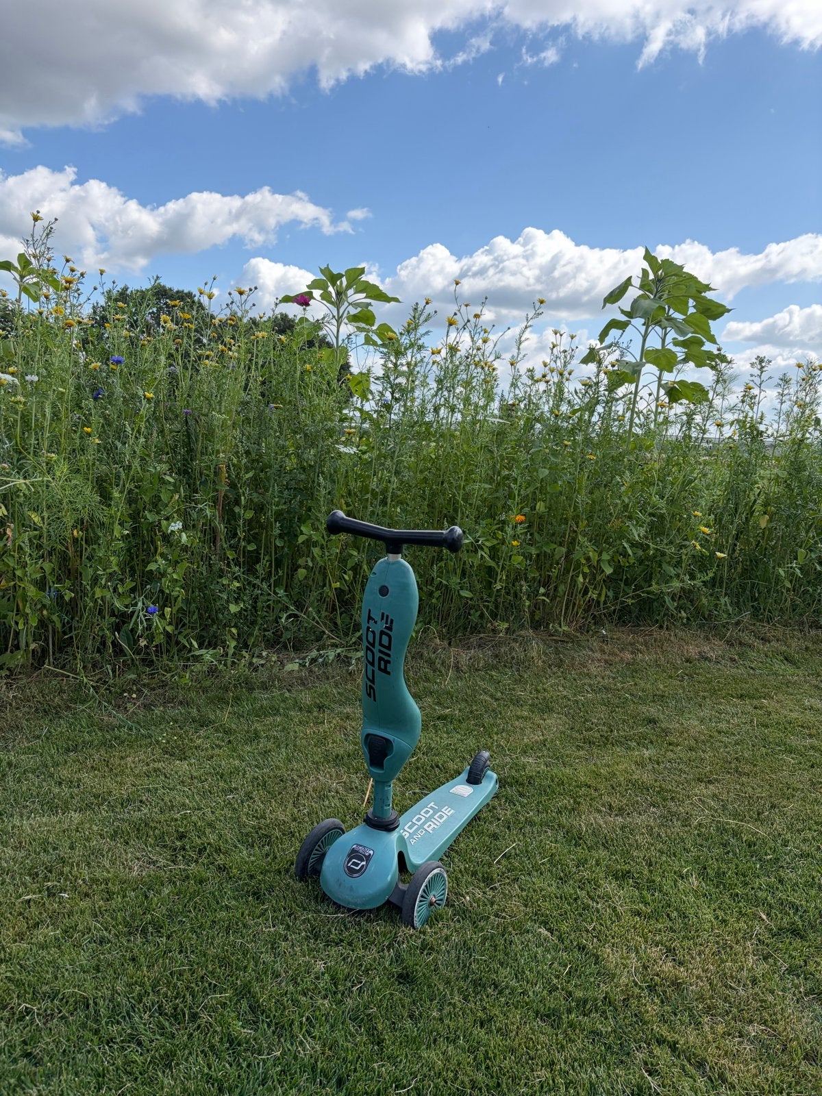 Scoot & Ride Highwaykick 1 - 2-in-1 Step en Loopfiets, Ophalen, Gebruikt, Gewone step