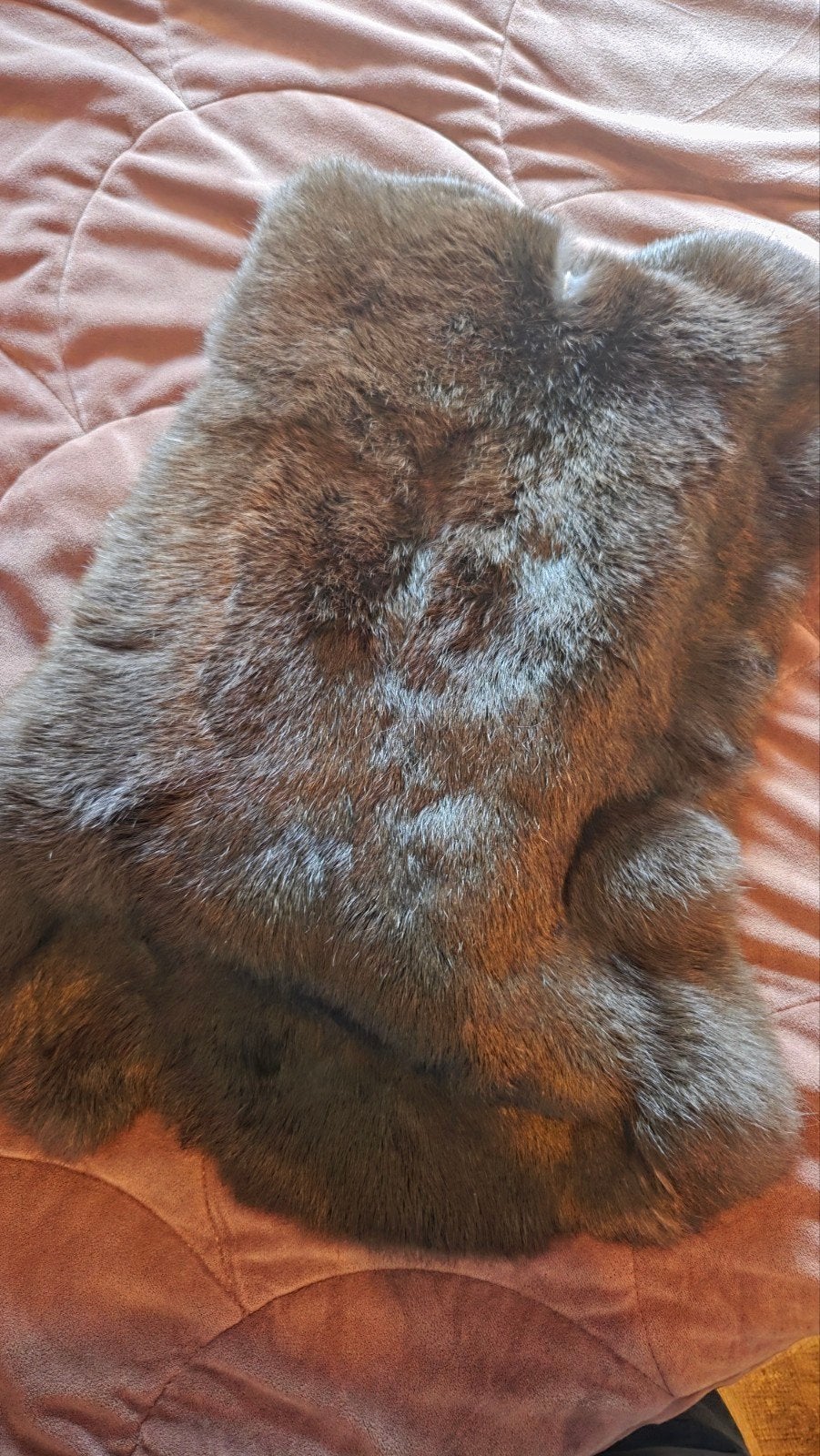 Zacht bruin imitatiebont kleedje, Minder dan 50 cm, 50 tot 100 cm, Bruin, Modern, Cozy