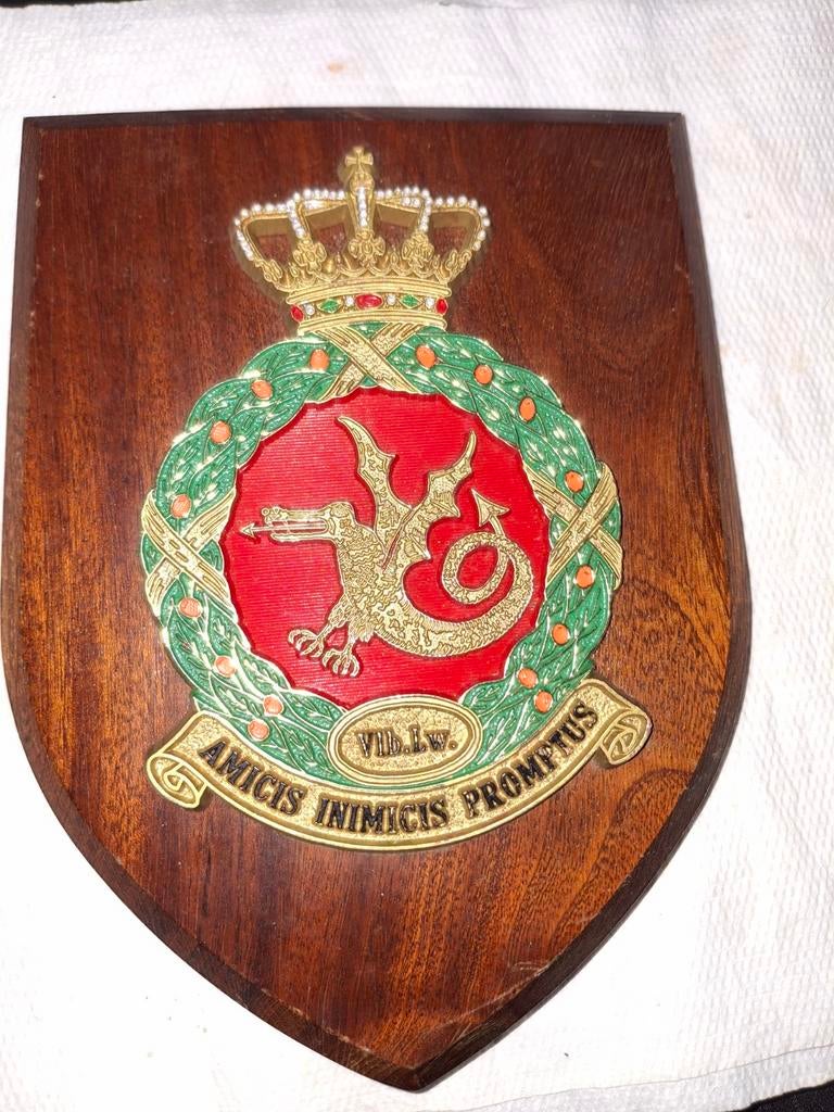 Vintage Houten Wapenbord met Kroon en Draak - Militair, Ophalen of Verzenden