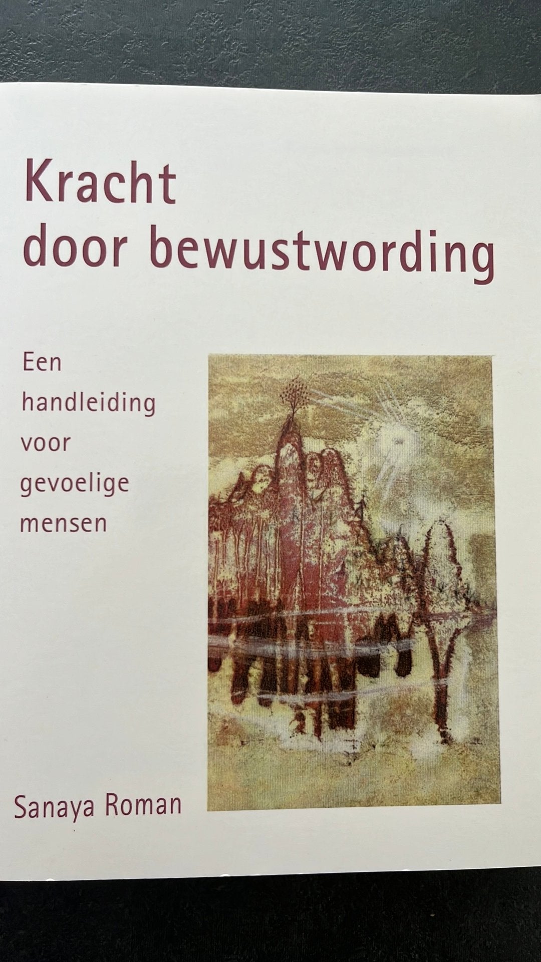 Sanaya Roman - Kracht door bewustwording, Boeken, Achtergrond en Informatie, Sanaya Roman, Ophalen of Verzenden, Zo goed als nieuw
