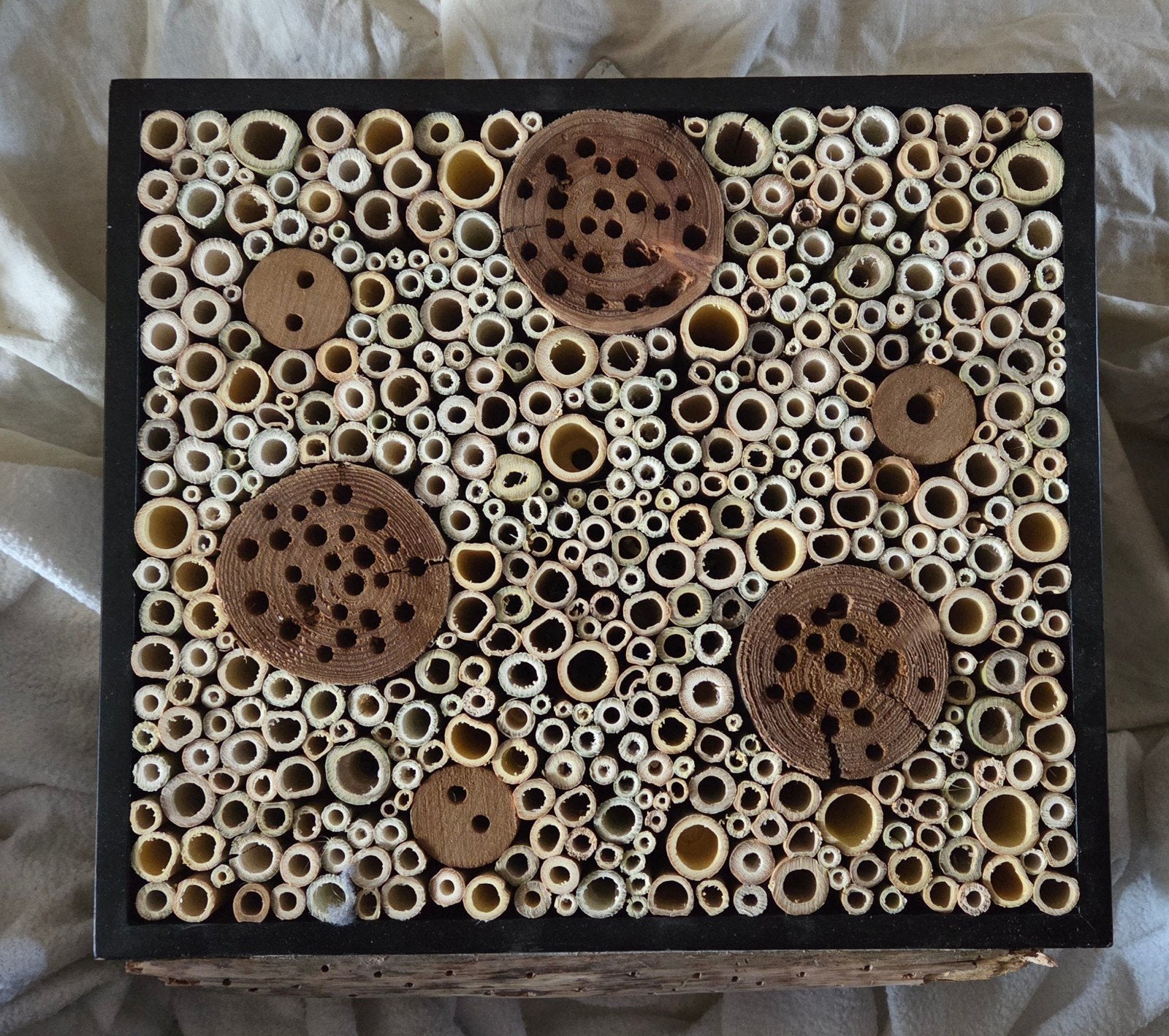 insectenhotel, bijenhotel. nieuw en ongebruikt, Ophalen of Verzenden, Nieuw