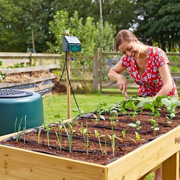 Irrigatie zonne-energie, Tuin en Terras, Druppelsystemen, Nieuw, Ophalen of Verzenden