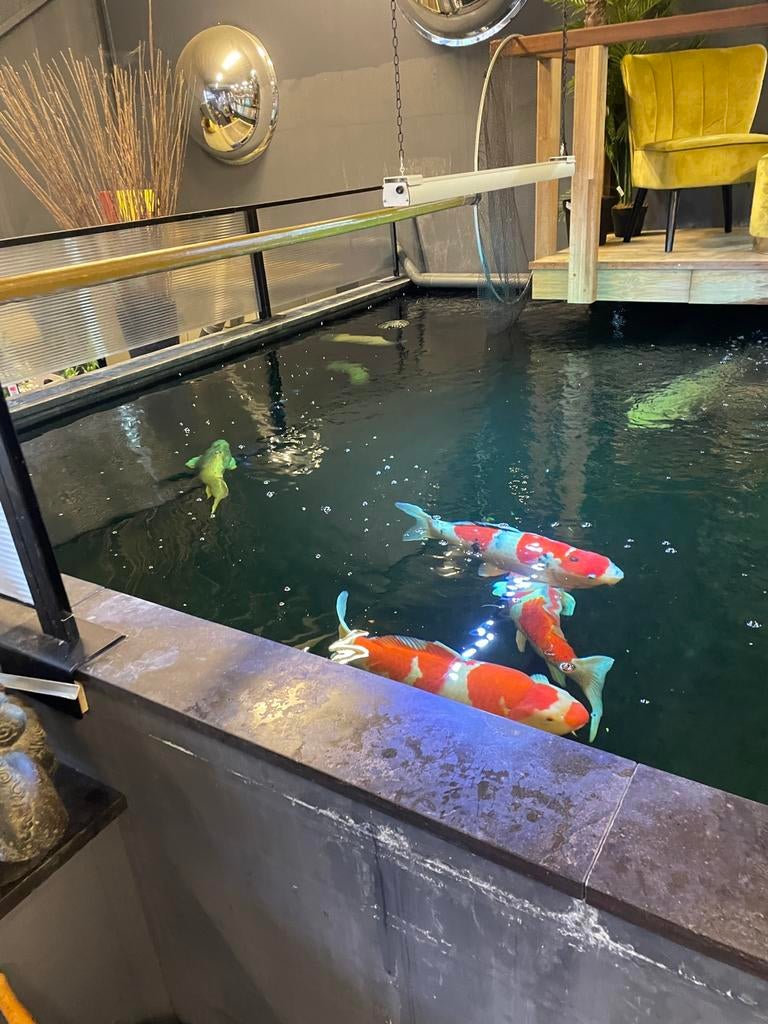 Complete koi vijver 25.000 liter, Tuin en Terras, Vijvers, Ophalen