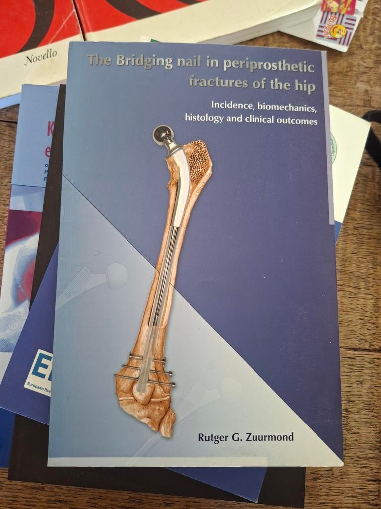 The Bridging Nail in Periprosthetic Fractures of the Hip, Ophalen of Verzenden, WO, Zo goed als nieuw, Rutger G. Zuurmond