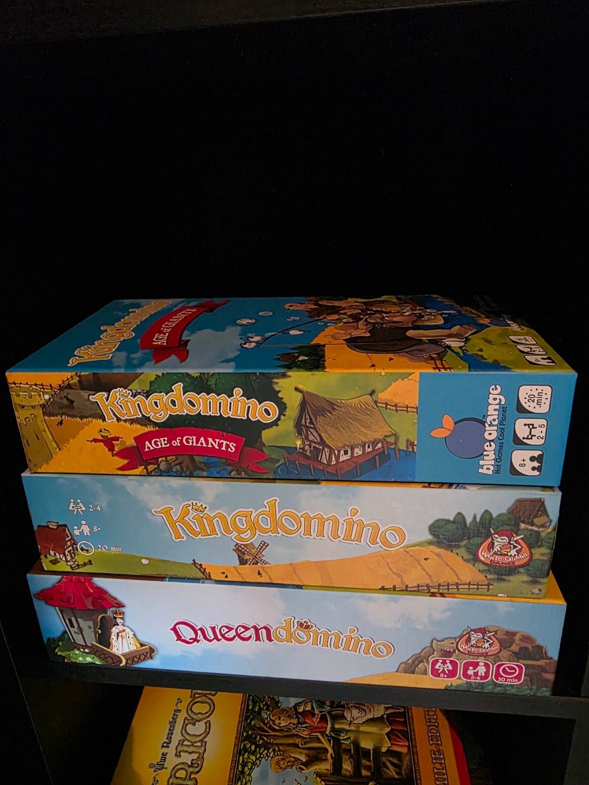 Diverse Bordspellen Collectie: Kingdomino, Ubongo, Cascadia, Vijf spelers of meer, Ophalen, Zo goed als nieuw, Diverse uitgevers (o.a. Blue Orange, Kosmos, Geronimo Games)