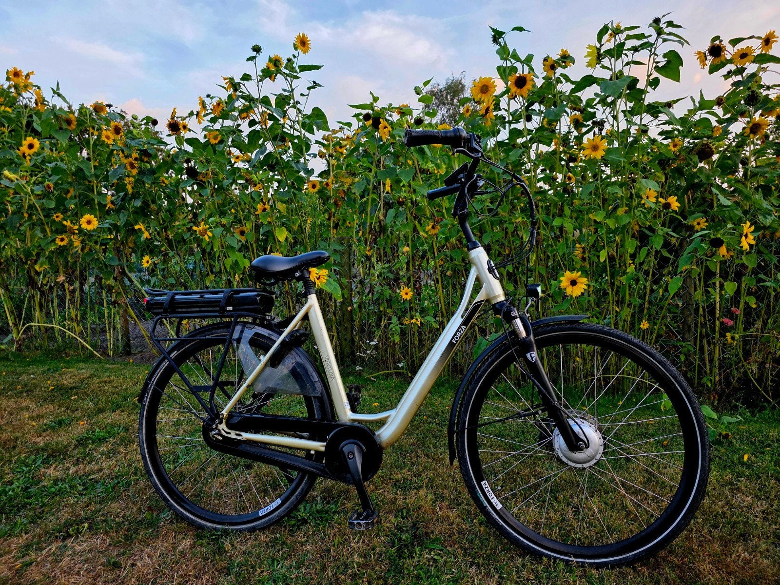 Krachtige Forza Champagnekleur 600 wh accụ € 795, Zo goed als nieuw, 51 tot 55 cm, 50 km per accu of meer, Ophalen