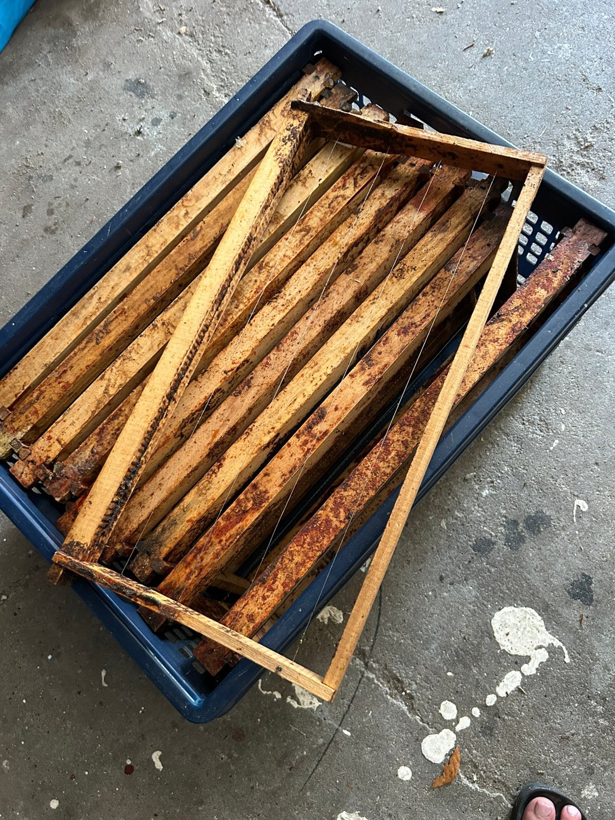 Gratis ophalen 10 langstroth broedkamerramen, Dieren en Toebehoren, Bijen