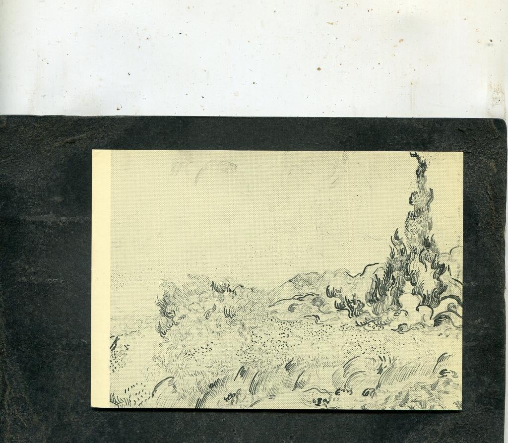 Ansicht Vincent van Gogh - Korenveld met cypres en bloeiende, Verzenden, 1980 tot heden, Ongelopen