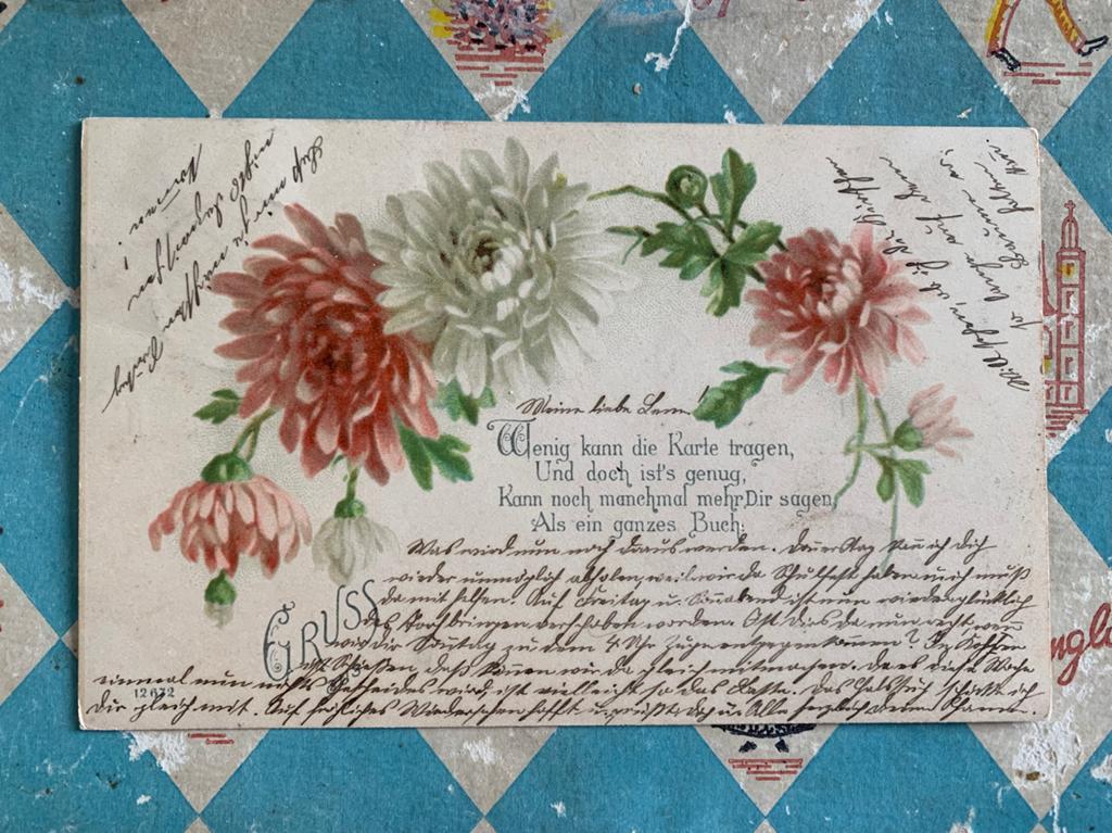 1901 Dahlia’s, Ophalen of Verzenden, Voor 1920, Gelopen, Natuur