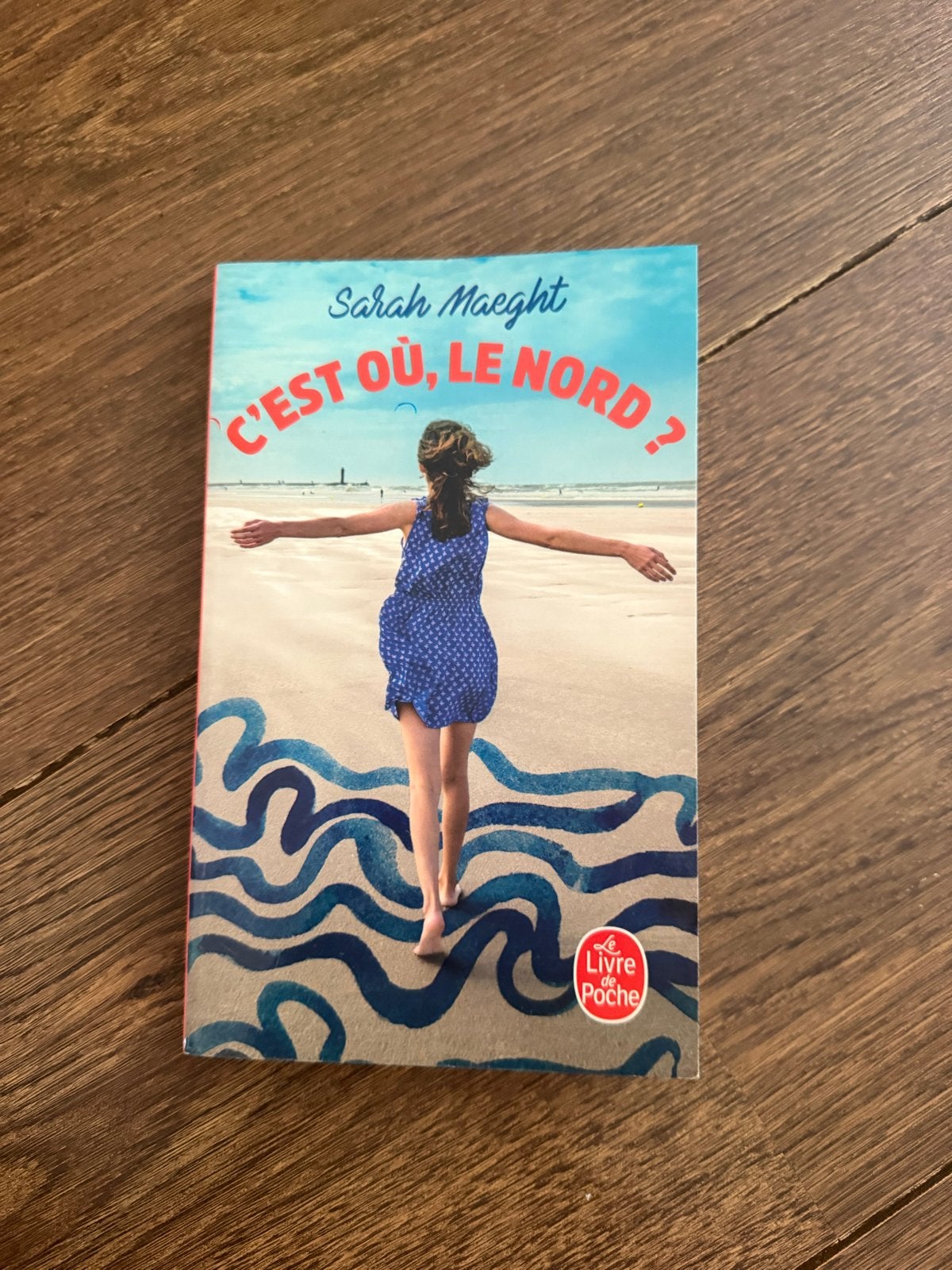 C'est où, le Nord? - Sarah Maeght (Frans boek), Boeken, Ophalen of Verzenden, Zo goed als nieuw, Europa overig