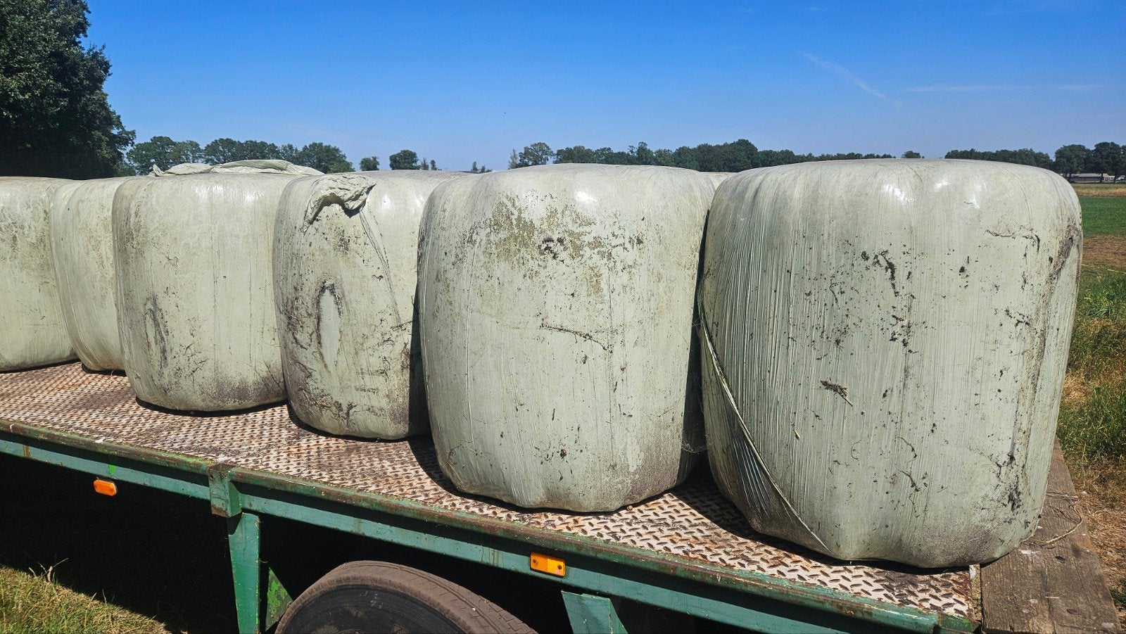 minibalen, Dieren en Toebehoren, Ophalen of Verzenden, Vee