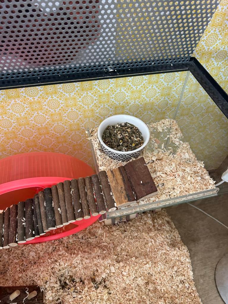 Diervriendelijke Hamsterkooi - Terrarium, Dieren en Toebehoren, Kooi, 75 tot 110 cm, Ophalen, Minder dan 60 cm