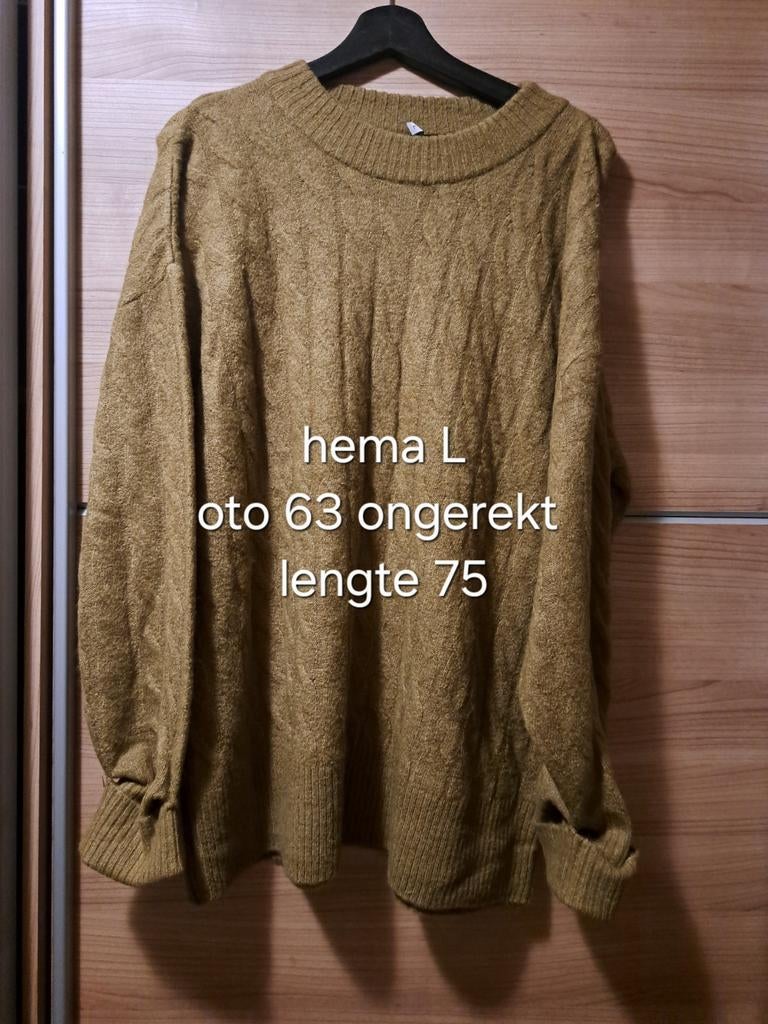 Hema trui zgan maat L/44/46, Hema, Ophalen of Verzenden, Zo goed als nieuw, Maat 46/48 (XL) of groter