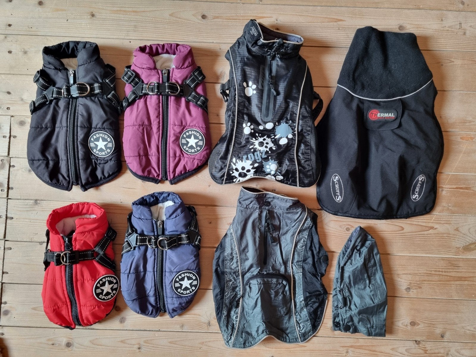 10 truitjes, 8 jasjes samen 25,-, Ophalen of Verzenden, Zo goed als nieuw
