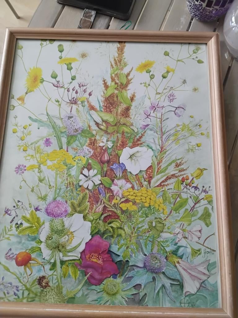 Wilde bloemen in lijst  20,00, Ophalen of Verzenden, Zo goed als nieuw, Minder dan 50 cm, 50 tot 75 cm