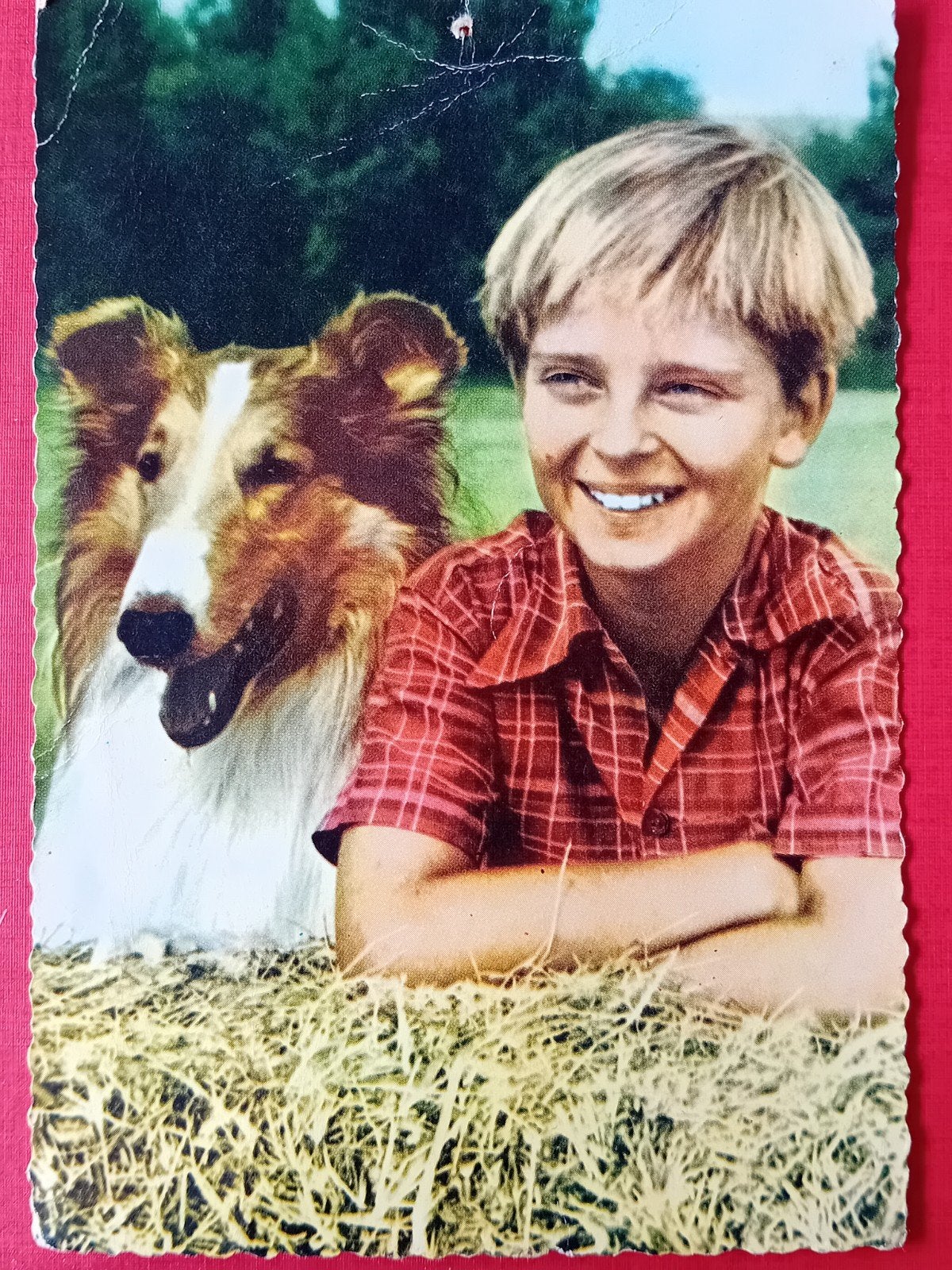 Ansichtkaart Lassie, Ophalen of Verzenden, Foto of Kaart