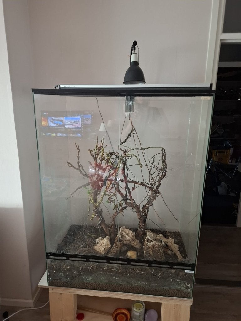 groot terrarium, Dieren en Toebehoren, Ophalen, Gebruikt, Terrarium of Paludarium