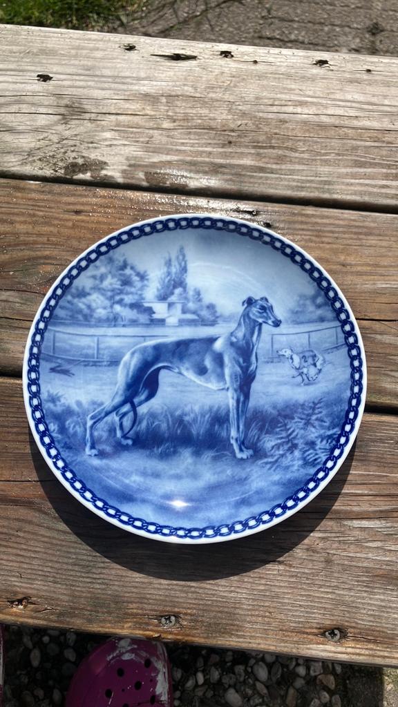 Antiek wandbord, Greyhound., Ophalen of Verzenden