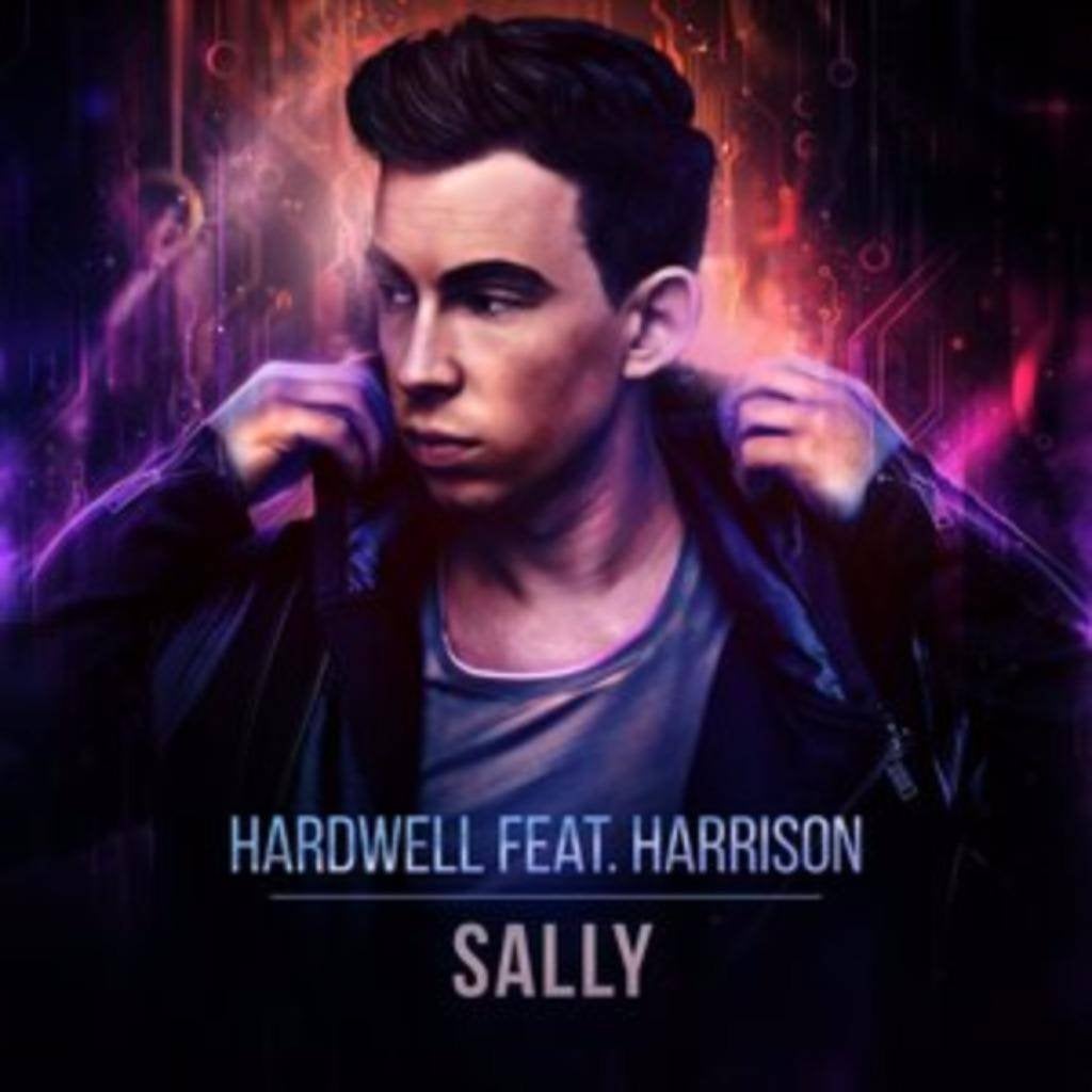 Hardwell feat. Harrison - Sally (PROMO), Cd's en Dvd's, Ophalen of Verzenden, Zo goed als nieuw, Overige genres