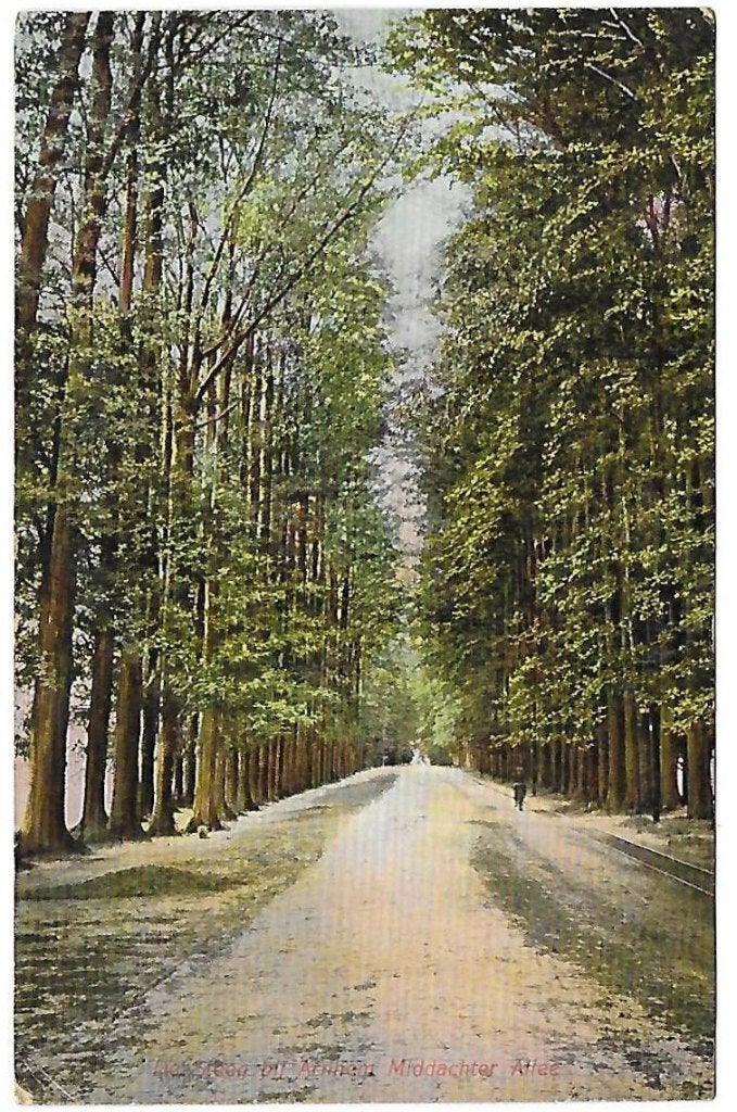 De Steeg Middachter Allee Oude gelopen Ansichtkaart B1367 ), Ophalen of Verzenden, 1940 tot 1960, Gelopen, Gelderland