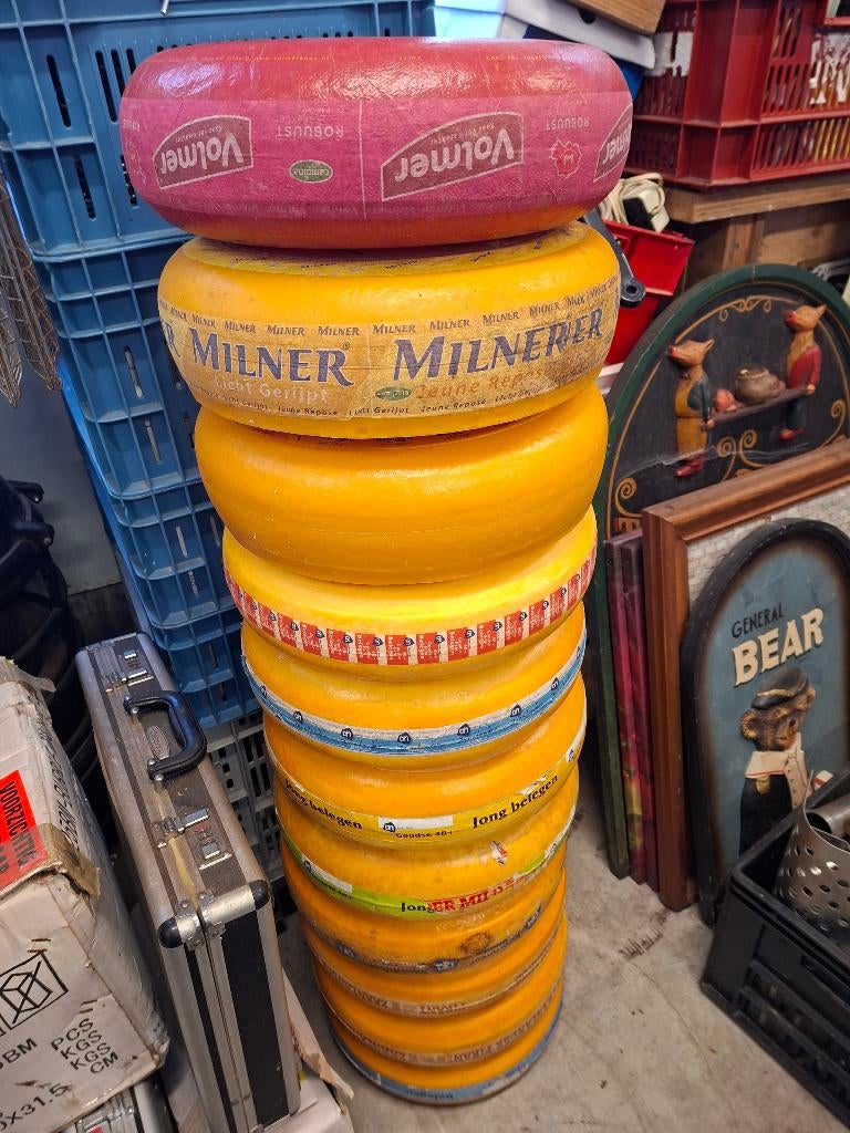 Kaas Dummie / 11 stuks, Ophalen, Gebruikt, Overige typen, Ameide