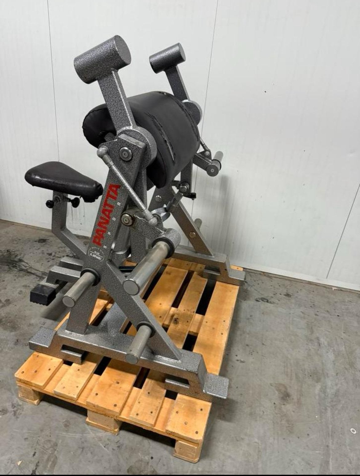 Panatta Biceps curl / bicep / bizep / bizeps / plate loaded, Ophalen, Benen, Gebruikt, -