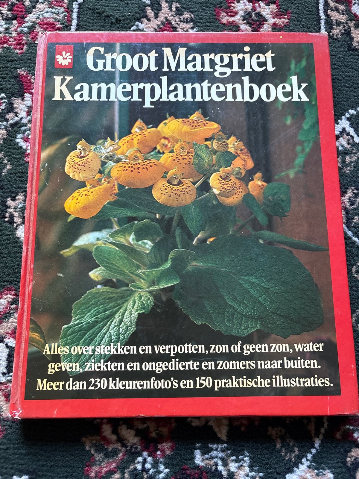 Groot Margriet Kamerplantenboek - Alles over planten, Ophalen of Verzenden, Gelezen, Kamerplanten