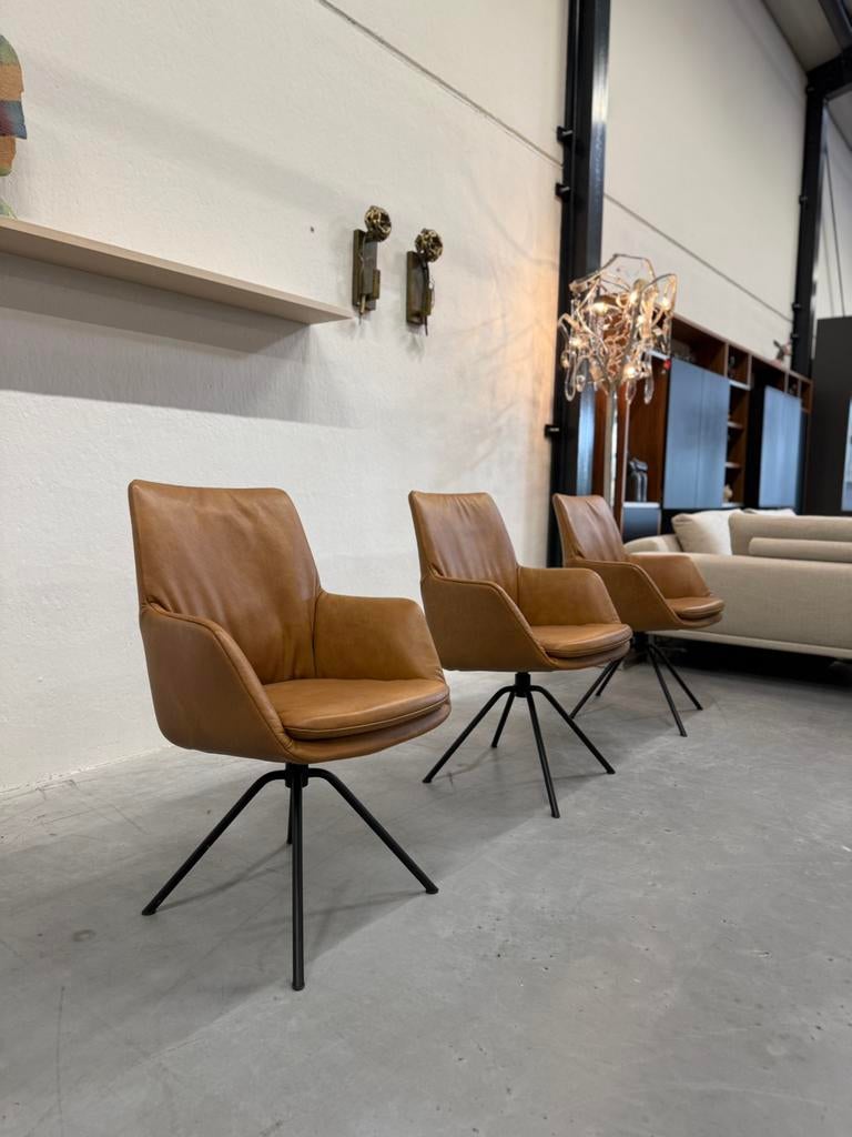 6 Nieuw De Toekomst Rhode draai eetkamerstoelen leer stoel, Huis en Inrichting, Stoelen, Bruin, Nieuw, Leer, De Toekomst