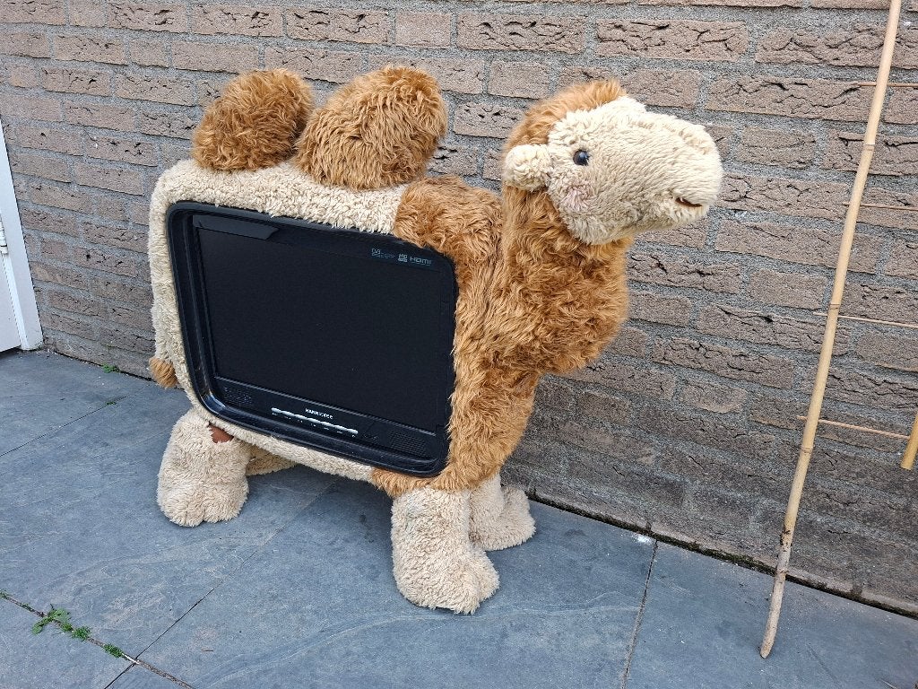 Hannspree Kameel TV - Goed werkende 43 cm LCD TV, Ophalen, Philips, Gebruikt, 50 Hz
