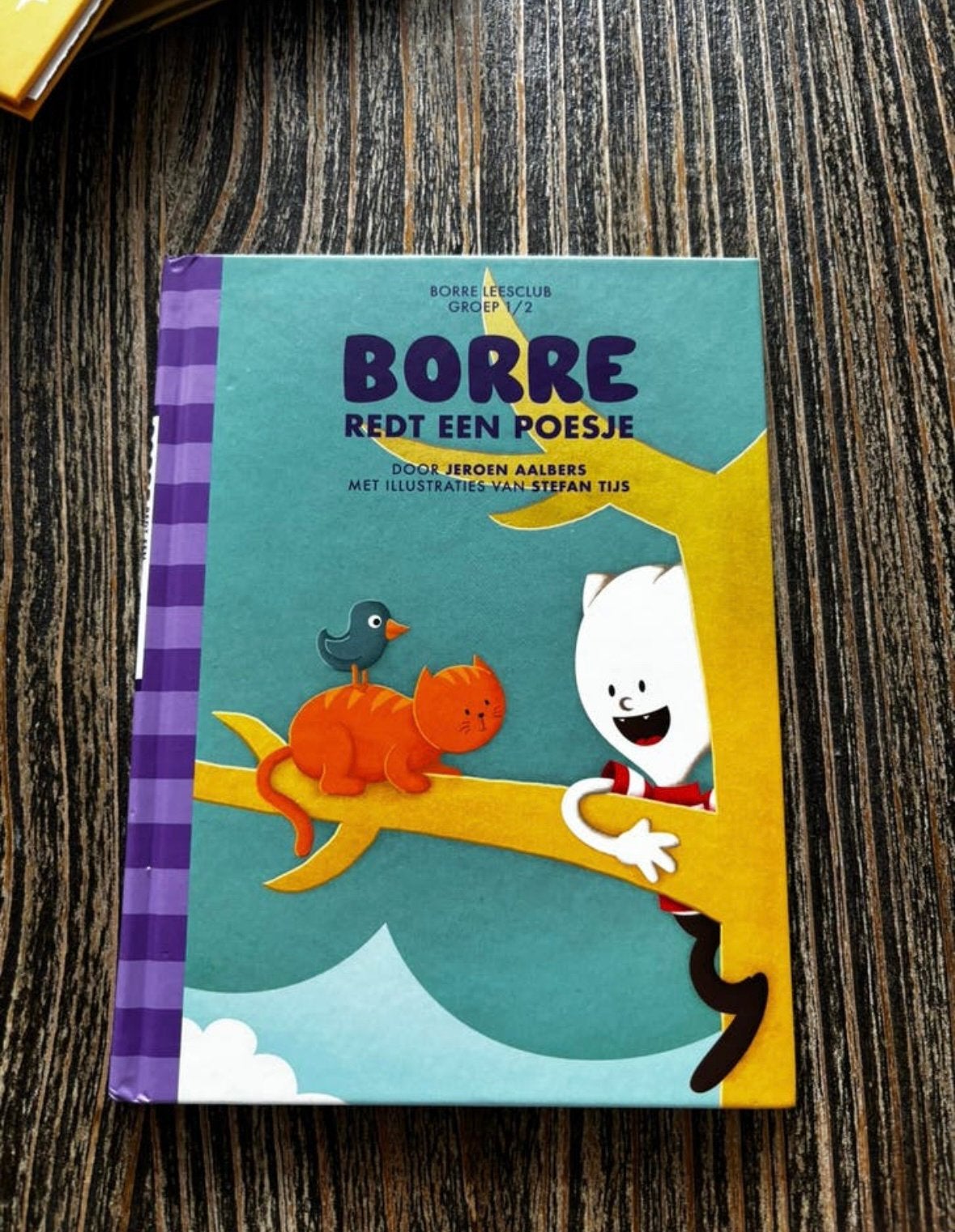 5 Borre boekjes groep 1/2, Boeken, Kinderboeken | Jeugd | onder 10 jaar, Ophalen of Verzenden, Zo goed als nieuw, Fictie algemeen