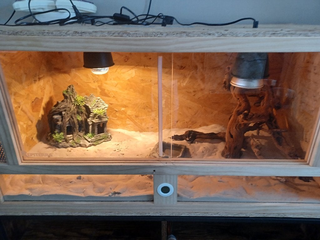 Terrarium 100x50x50, Ophalen, Zo goed als nieuw, Terrarium of Paludarium