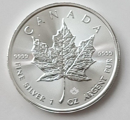 1 ounce zilveren maple leaf, Ophalen of Verzenden, Noord-Amerika, Losse munt, Zilver