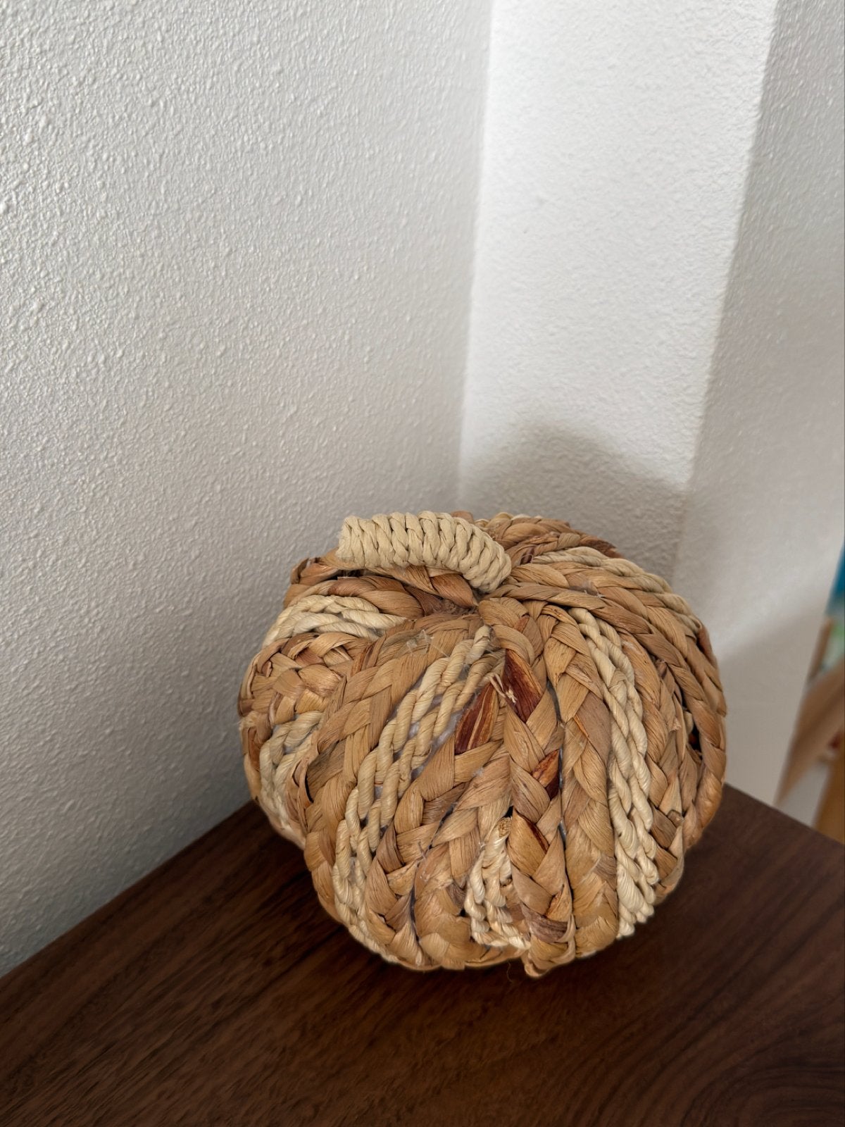 Nieuwe Pompoen Decoratie van Natuurlijk Materiaal, Ophalen, Beige, Nieuw, Landelijk