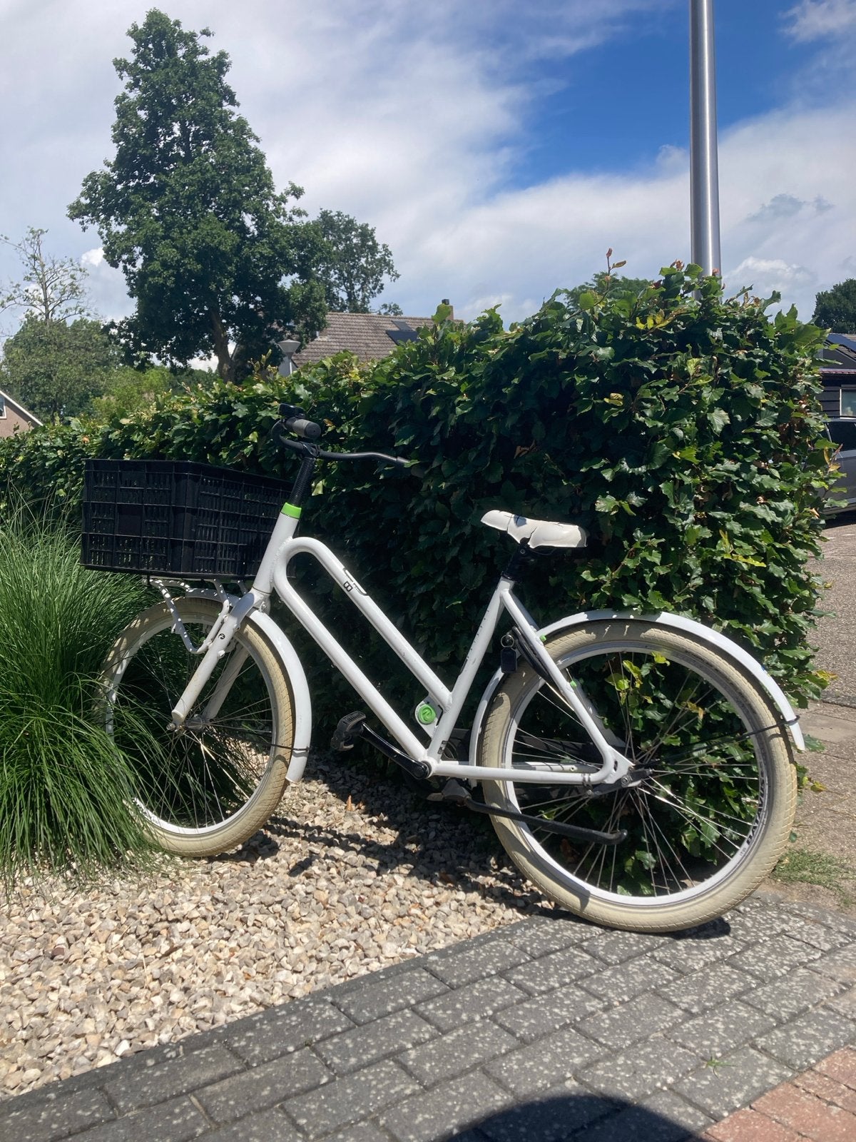 Batavus utility bike - beetje liefde nodig, Ophalen, Terugtraprem, Gebruikt, 47 tot 50 cm