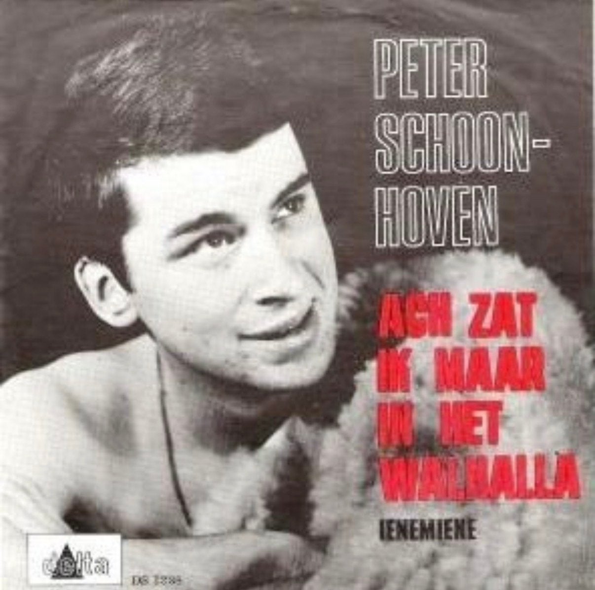 GEZOCHT Peter Schoonhoven - Ach Zat Ik Maar In Het Walhalla, Cd's en Dvd's, Gebruikt, 7 inch, Ophalen of Verzenden, EP