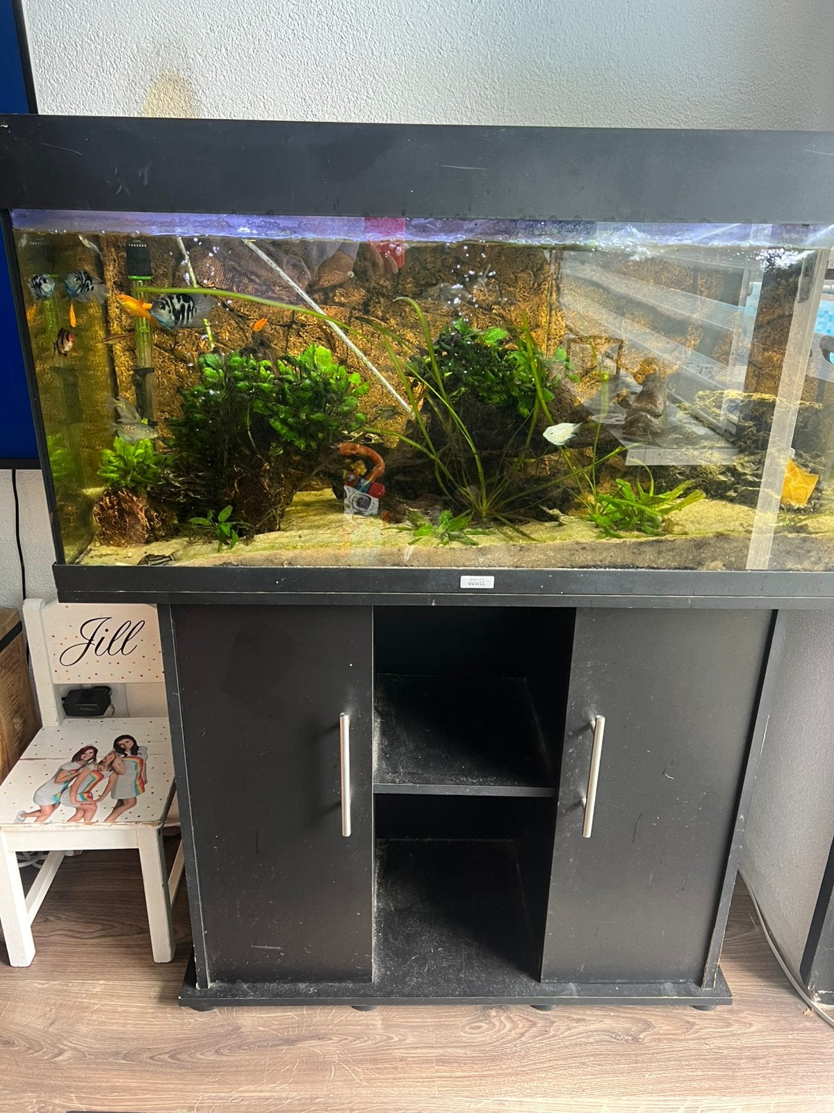 Aquarium (180L) met vissen, Ophalen, Gebruikt, Inclusief vissen, Gevuld zoetwateraquarium