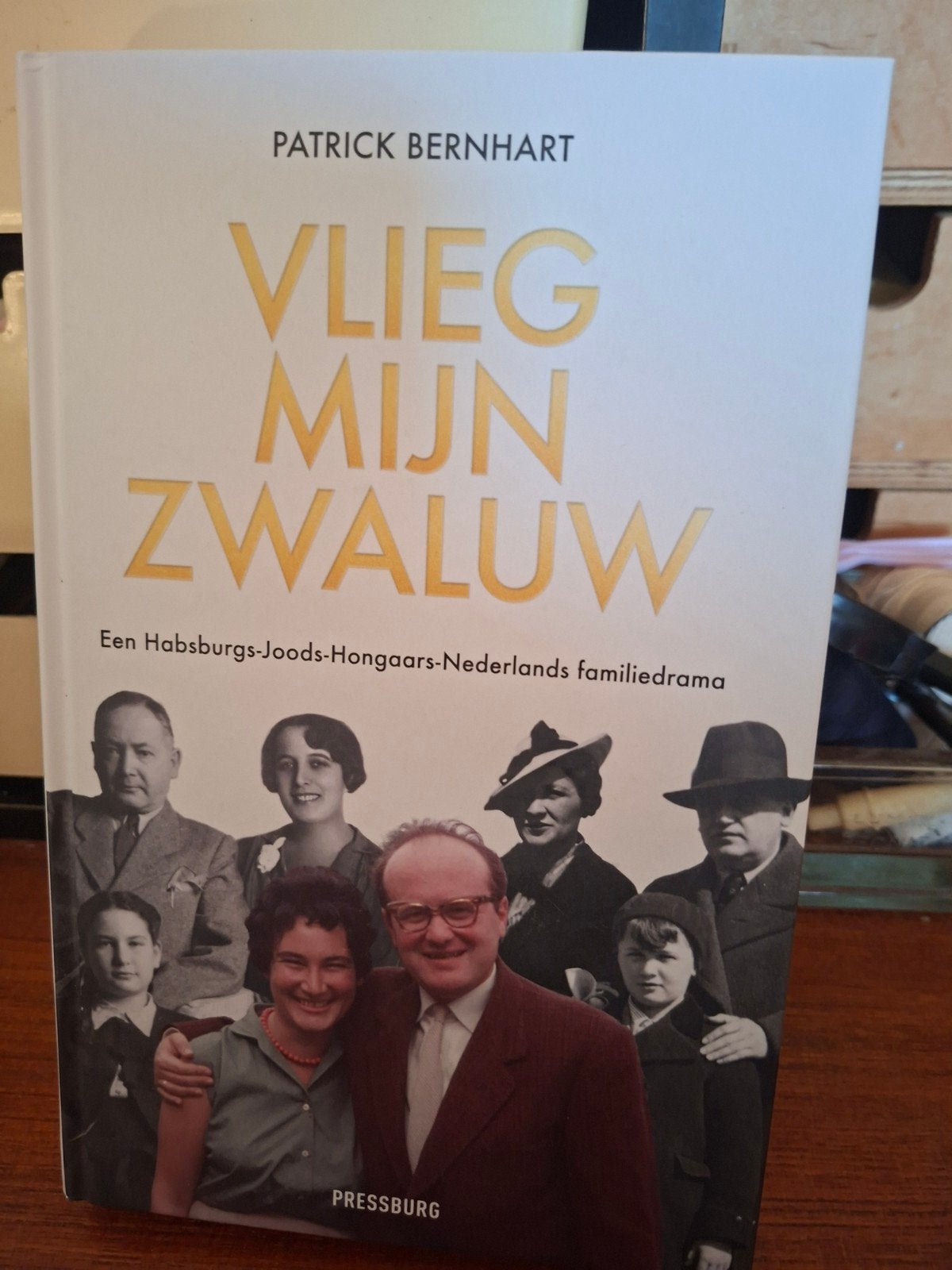 Patrick Bernhart - Vlieg, mijn zwaluw, Verzenden, Zo goed als nieuw, Patrick Bernhart
