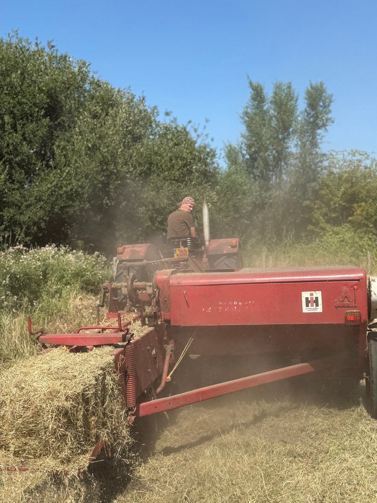 Hooipers International B46 - Goede staat, Ophalen, Akkerbouw, Oogstmachine