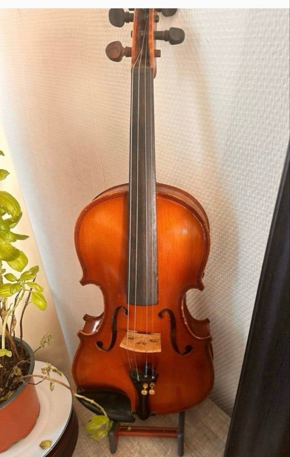 Prachtige 2/4 viool van bekend merk - Ideaal voor beginners, Ophalen of Verzenden, Gebruikt, 1/2-viool, Viool
