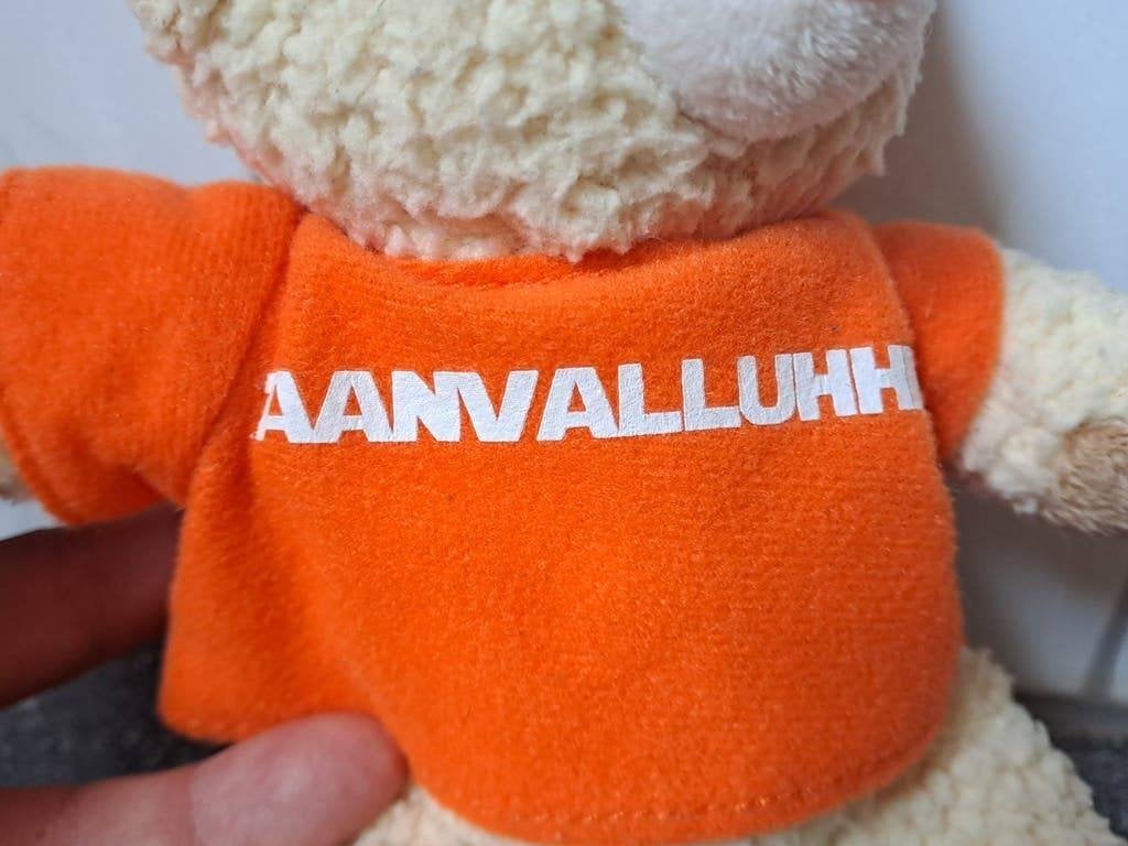 Schattige teddybeer Robijntje met oranje shirt - Aanvalluhh!, Gebruiksvoorwerp, Onbekend, Ophalen of Verzenden, Zo goed als nieuw